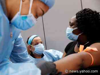 We now have the best evidence yet that everyone develops long-term coronavirus immunity after infection — and it's not just about antibodies