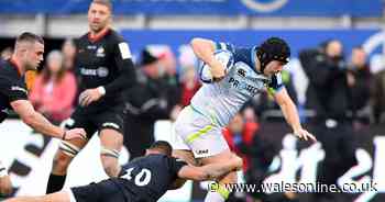 Young Welsh rugby machine tipped to be Wales' answer to Sean O'Brien