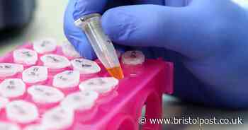 Urgent call for people who have had Covid to become donors