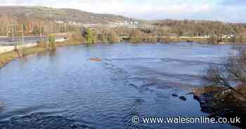 Young boys saved after clinging to branch over fast-flowing river