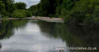Body found in County Durham river in search for 15-year-old boy - Chronicle Live