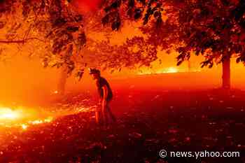 Areas around San Francisco evacuated as nearly 40 wildfires blaze across California amidst searing heat wave