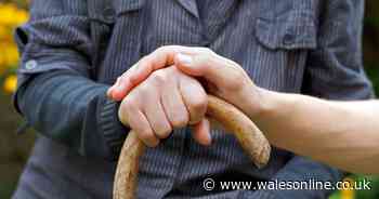 'Morning people' linked with higher risk of Alzheimer’s disease