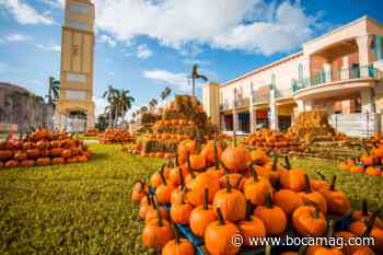 Best of Boca 2020: Lifestyle & Arts - Boca Raton