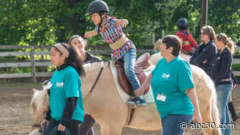 Pony Power Therapies uses horse therapy to enhance the lives of people with special needs