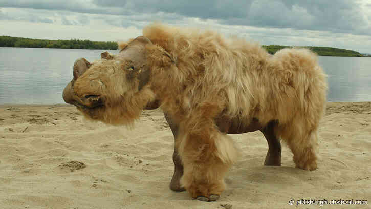 A 14,000-Year-Old Puppy, Whose Perfectly Preserved Body Was Found In Russia, Munched On A Woolly Rhino For Last Meal