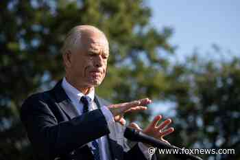 Peter Navarro accuses Democrats and the Chinese Communist Party of being in cahoots in 2020 election