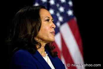 Kamala's private army: Why Harris' HBCU, AKA affiliations could help Biden's campaign