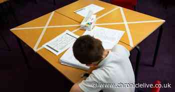 Children may carry more coronavirus in their system than previously thought