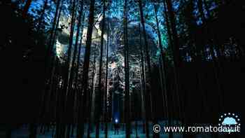 "Tree of a perfect pair": il bosco di Paliano diventa elettrico