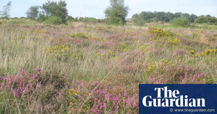 Country diary: a visit to the little haven of Pleasure Piece