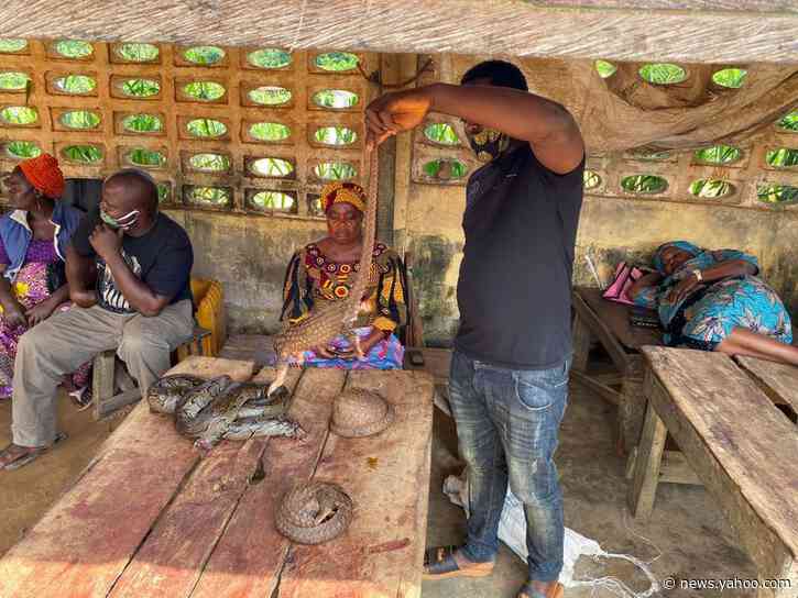 Nigeria&#39;s wet markets thrive despite coronavirus pandemic