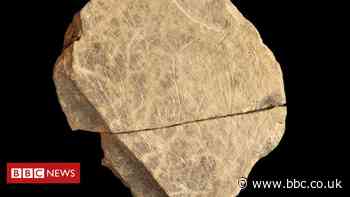 Earliest art in the British Isles discovered on Jersey