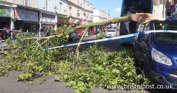 Live updates: Road closed and buses diverted due to fallen tree