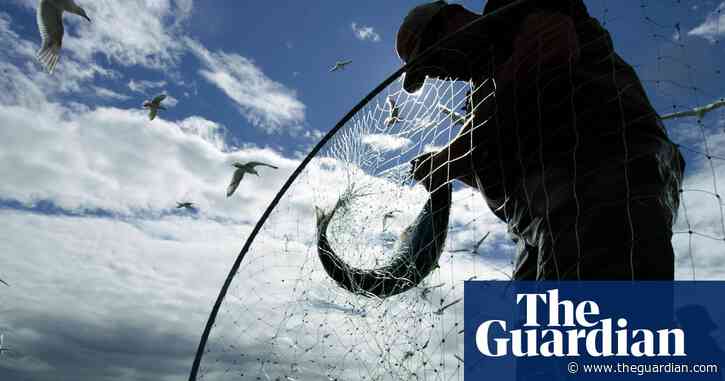 'They're owned by all Alaskans': salmon free-for-all draws throngs