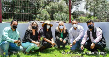 Realiza Cristina Tello y Toño Teutli reforestación en Coronango - Intolerancia Diario