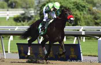 Queen’s Plate to be closed to racing fans due to COVID-19 pandemic
