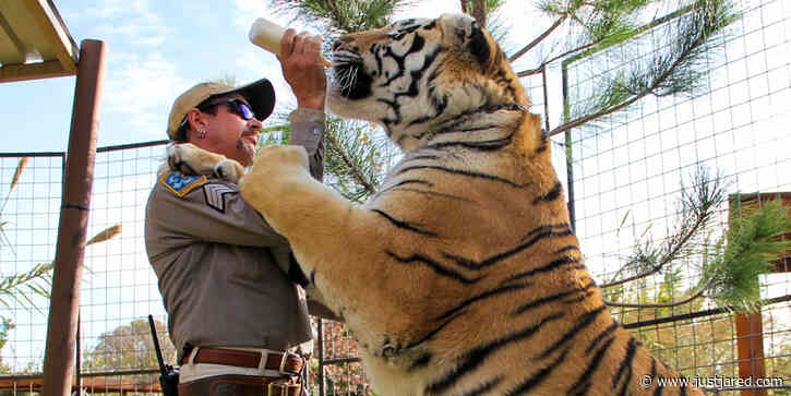 'Tiger King' Zoo Is Officially Closed According to Reports