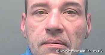 Driver who crashed in 100mph police chase was twice the drink limit