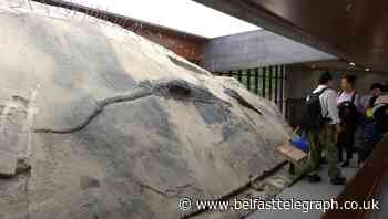 Giant reptile found ‘well-preserved in belly of larger carnivore’