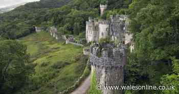 I'm a Celebrity Welsh castle confirms it's closed until 2021