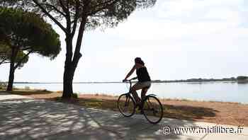 De Lunel à La Grande-Motte, une voie pour aller à la mer, à bicyclette - Midi Libre