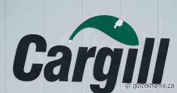 Union ‘cautiously optimistic’ COVID-19 outbreak at Calgary Cargill plant appears contained