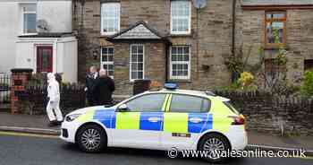 Suspected murder victim actually fell down the stairs drunk