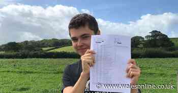 The teenafer who makes brilliant Covid charts just aced his GCSEs