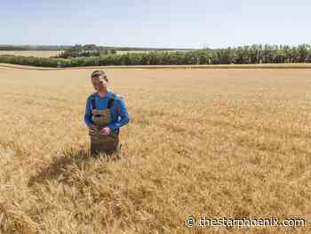 Chance of average harvest relieves farmers