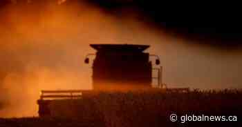 Harvest progresses in Saskatchewan, SaskPower urges caution around power lines
