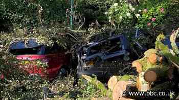 Ceir wedi'u difrodi gan goed ym Mhortmeirion dros nos