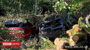 Portmeirion: Cars crushed by trees at holiday resort
