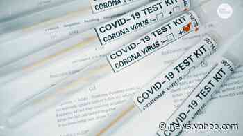 Fact check: COVID-19 is deadlier than the 1918 Spanish flu and seasonal influenza