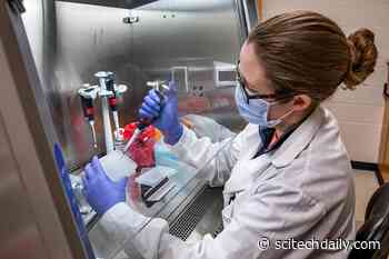 New Rapid Saliva Test for COVID-19 Enables Fast and Frequent Testing on a Large Scale