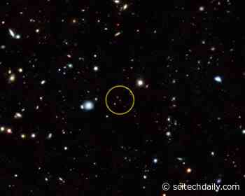 Nearly 100 Cool New Worlds Found in Our Cosmic Backyard With Key Help From Citizen Scientists