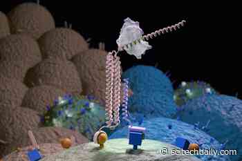 New Breakthrough in “Molecular Computers” Improves Targeting of Cancer-Killing Car T Cells