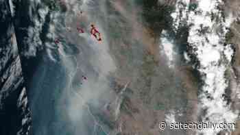 Thick Smoke Obscures California Skies After Wildfires Exploded Across the North