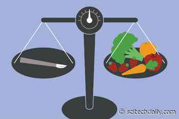 Same Metabolic Benefits Gained From Major Weight Loss – Whether From Diet or Gastric Bypass Surgery