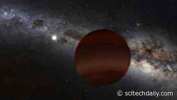 100 Cool Worlds Discovered Near the Sun – Fundamental to Our Understanding of the Universe