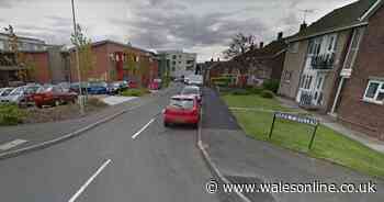 'Wonderful mother' died after accidental morphine overdose - Wales Online