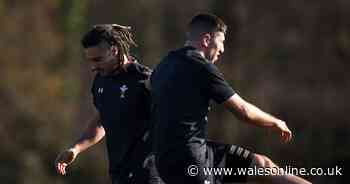 The key Wales duels that Wayne Pivac will be watching out for as regional rugby returns this weekend - Wales Online
