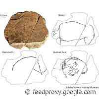 14,000-Year-Old Engravings Are Oldest Art Ever Found In British Isles