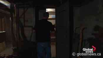 Mystery uncovered in Stony Plain after construction crew finds tunnel from 1918