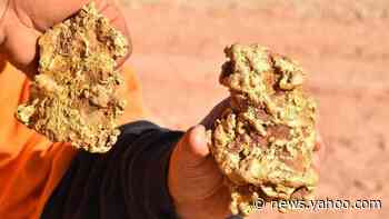Two gold nuggets worth $350,000 found in Australia
