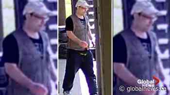 Edmonton police release sketch, video of suspect in Lisa Arsenault homicide | Watch News Videos Online - Globalnews.ca