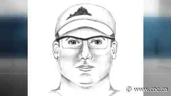 Edmonton police release video, sketch of suspect wanted in motel homicide - CBC.ca