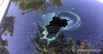 Police investigate after suspect goes on 'glass-breaking rampage' in north Edmonton - Global News