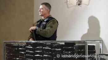 Liberals move toward changing federal drug policy as opioid deaths spike - Lethbridge News Now