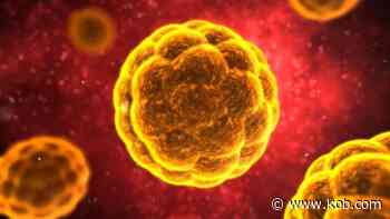 Virus exposure closes 3 central New Mexico medical practices - KOB